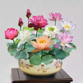 【7-Day Germination】Last Day Sale — 50% OFF! 🌱 The Sacred Bonsai Bowl Lotus Flower