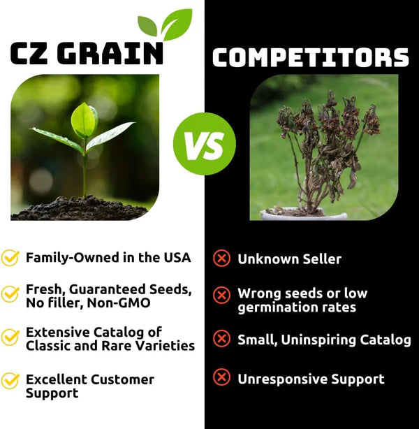 🌸 Today’s Hot Deal! Climbing Rose Vine Seeds 🌹 | Flat 50% OFF 🔥