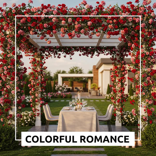 🌸 Today’s Hot Deal! Climbing Rose Vine Seeds 🌹 | Flat 50% OFF 🔥