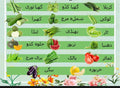 🌞 Summer Vegetable Seeds Collection – Pakistan 🥕 Available Summer Vegetables (20 Varieties)